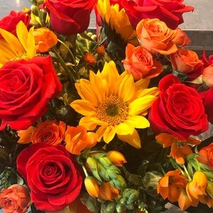 Meet your Posher, Amber